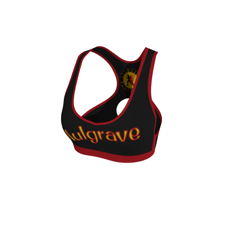 Design Your Own Gym and Fitness Apparel 1.1 Womens Sports Crop. (x 23)