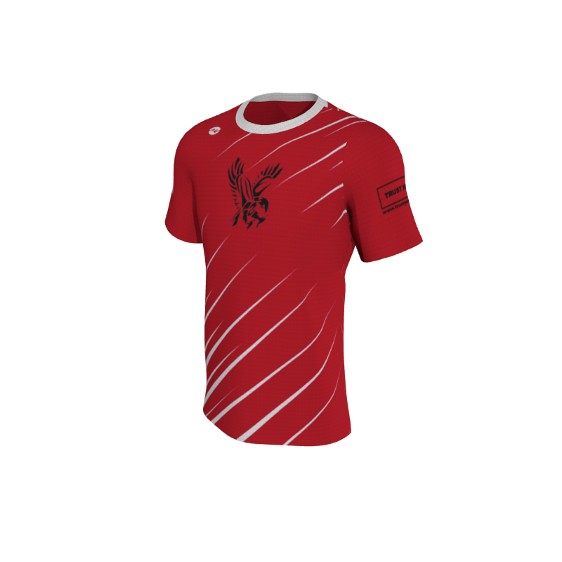 Design Your Own Tees 1.13 Mens ActivTek Tee. (x 15)